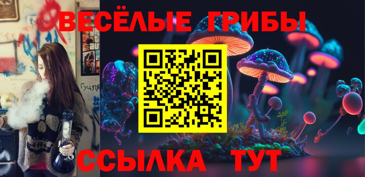 Гусиноозёрск  Псилоцибиновые грибы прущие грибы  Вход с VPN 