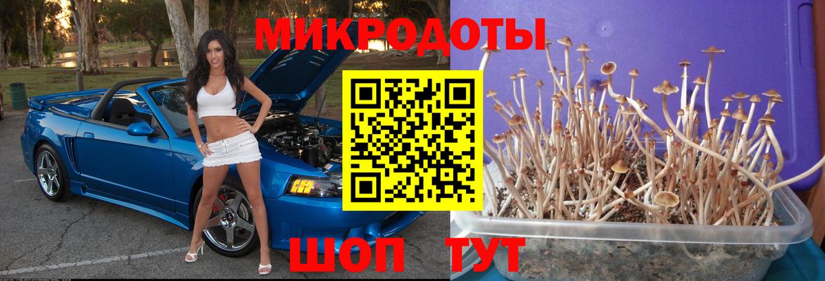 Галлюциногенные грибы Cubensis Гусиноозёрск